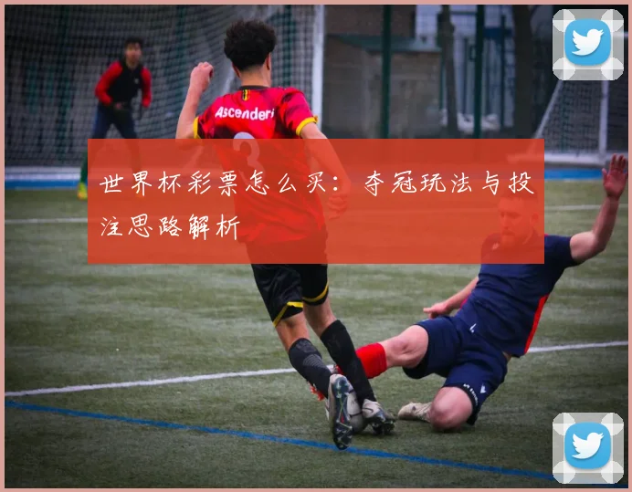 世界杯彩票怎么买:夺冠玩法与投注思路解析