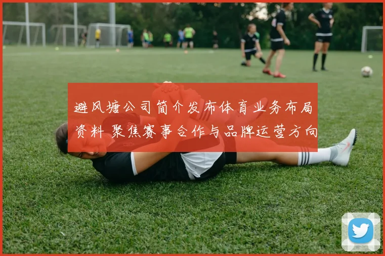 避风塘公司简介发布体育业务布局资料 聚焦赛事合作与品牌运营方向