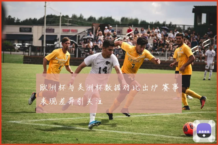 欧洲杯与美洲杯数据对比出炉 赛事表现差异引关注