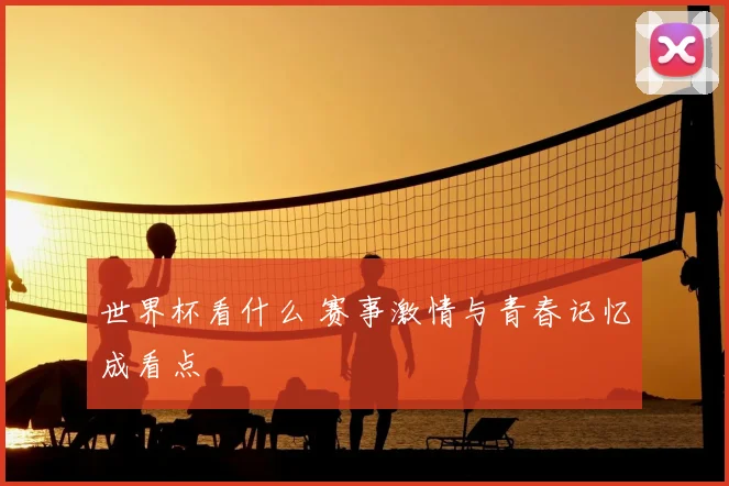 世界杯看什么 赛事激情与青春记忆成看点