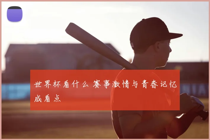 世界杯看什么 赛事激情与青春记忆成看点