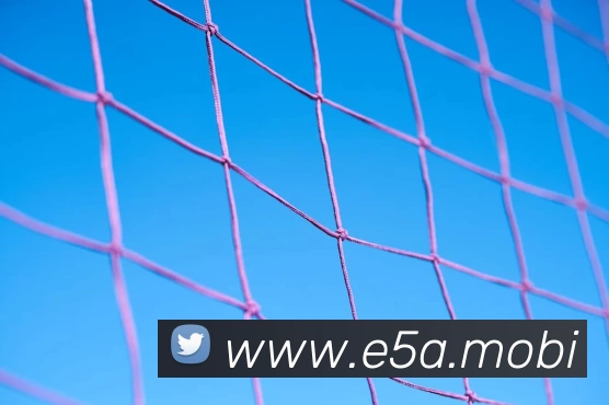 App Interface Preview